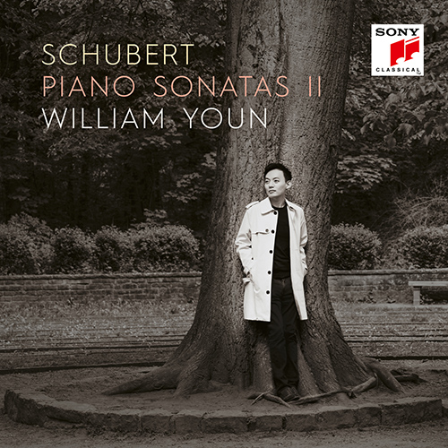 Imagen de apoyo de  SCHUBERT, F.: Piano Sonatas, Vol. 2 (William Youn)