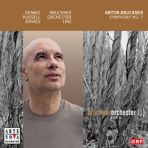 Imagen de apoyo de  BRUCKNER, A.: Symphony No. 7, WAB 107 (1885 version, ed. L. Nowak) (Linz Bruckner Orchestra, D.R. Davies)