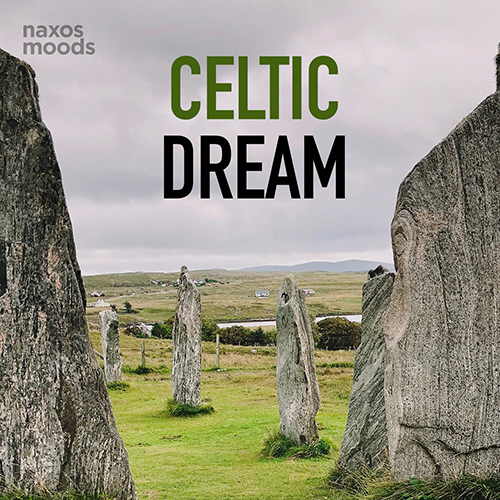 Imagen de apoyo de  CELTIC DREAM