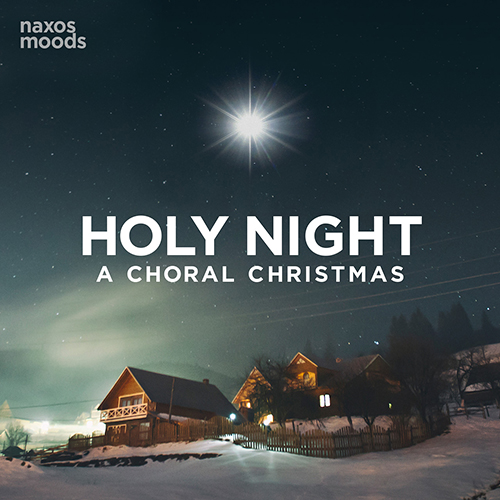 Imagen de apoyo de  HOLY NIGHT - A Choral Christmas