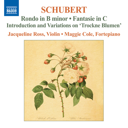 Imagen de apoyo de  SCHUBERT, F.: Violin and Fortepiano Works (Complete), Vol. 2 (Ross, Cole)
