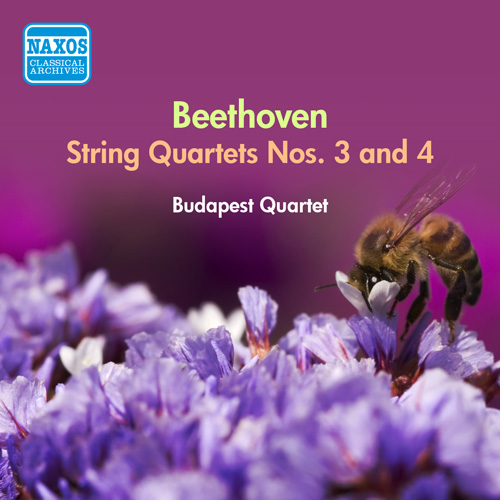 Imagen de apoyo de  BEETHOVEN: String Quartets Nos. 3 and 4 (Budapest String Quartet) (1956)
