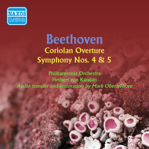 Imagen de apoyo de  BEETHOVEN, L. van: Symphonies Nos. 4 and 5 / Coriolan Overture (Philharmonia Orchestra, Karajan) (1953, 1954)