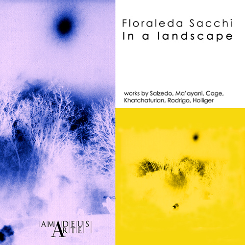 Imagen de apoyo de  Harp Recital: Sacchi, Floraleda - SALZEDO, C. / MAAYANI, A. / CAGE, J. / KHACHATURIAN, A.I. / RODRIGO, J./ HOLLIGER, H. (In a Landscape)