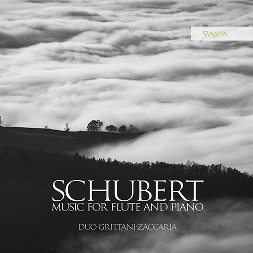 Imagen de apoyo de  SCHUBERT, F.: Flute and Piano Music - Arpeggione Sonata / Introduction and Variations on Trockne Blumen (Duo Grittani-Zaccaria)