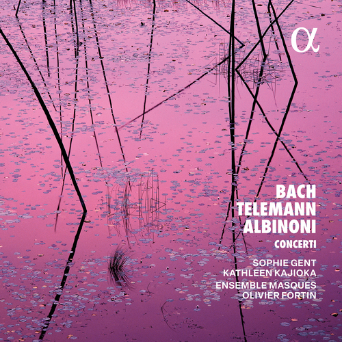 Imagen de apoyo de  Concertos (Baroque) - BACH, J.S. / TELEMANN, G.P. / ALBINONI, T.G. (Gent, Kajioka, Ensemble Masques, Fortin)