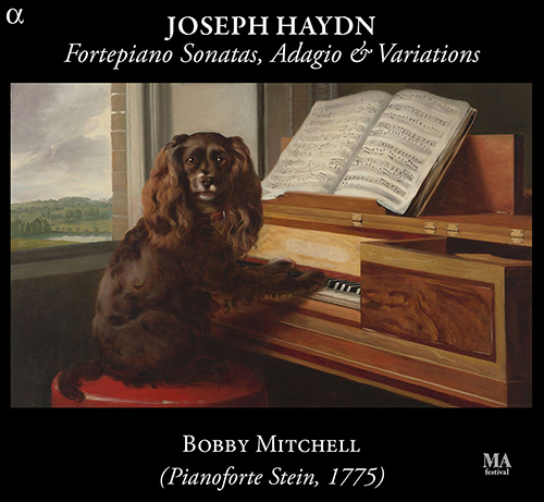 Imagen de apoyo de  HAYDN, J.: Keyboard Sonatas Nos. 38, 43 and 58 / Adagio in F Major / Un piccolo divertimento: Variations (B. Mitchell)