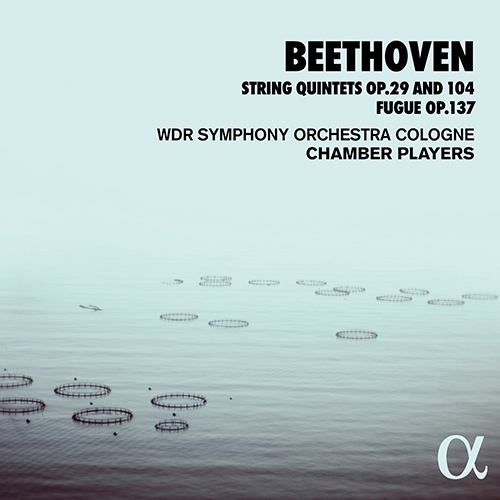 Imagen de apoyo de  BEETHOVEN, L. van: String Quintets, Opp. 29 and 104 / Fugue, Op. 137 (West German Radio Symphony Orchestra Cologne Chamber Players)