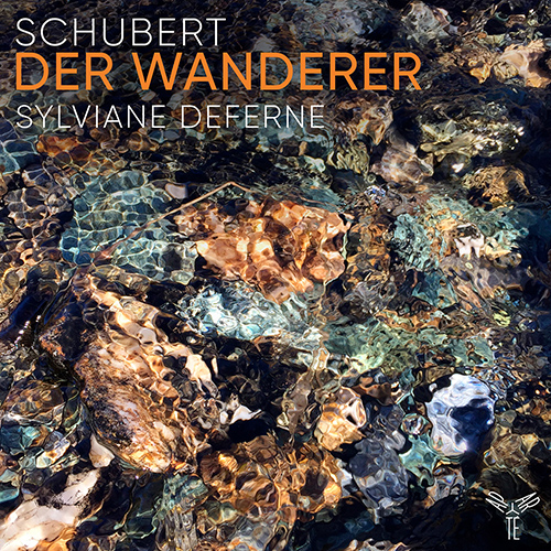 Imagen de apoyo de  SCHUBERT, F.: Wanderer (Der) / Wanderer Fantasy / 4 Impromptus / 13 Variations on a Theme by Hüttenbrenner (Deferne)