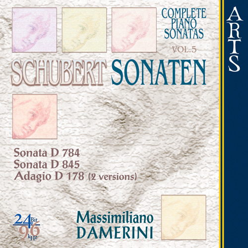 Imagen de apoyo de  SCHUBERT, F.: Piano Sonatas, Vol. 5 (Damerini) - Nos. 14 and 16