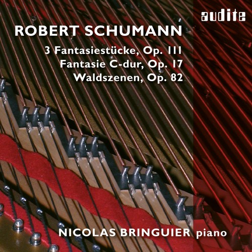Imagen de apoyo de  SCHUMANN, R.: 3 Fantasiestücke, Op. 111 / Fantasie, Op. 17 / Waldscenen (Bringuier)