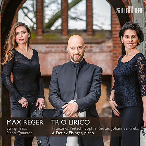 Imagen de apoyo de  REGER, M.: String Trios Nos. 1 and 2 / Piano Quartet No. 2 (Trio Lirico, Eisinger)