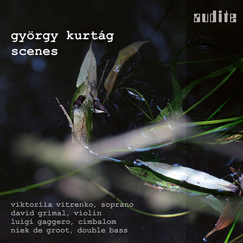 Imagen de apoyo de  KURTÁG, G.: Scenes from a Novel / 8 Duos / 7 Songs / Memory of a Winter Sunset (Scenes) (Vitrenko, D. Grimal, N. De Groot, Gaggero)
