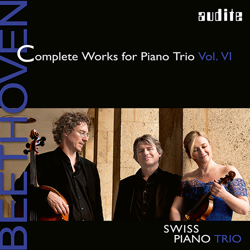 Imagen de apoyo de  BEETHOVEN, L. van: Piano Trios (Complete), Vol. 6 (Swiss Piano Trio) - Op. 63 / Symphony No. 2 (version for piano trio)