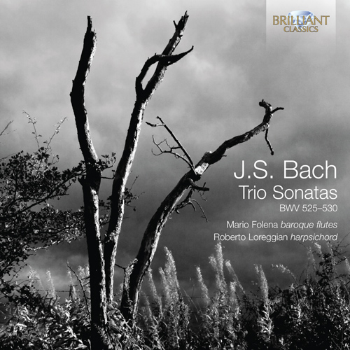Imagen de apoyo de  BACH, J.S.: Trio Sonatas, BWV 525-530 (Folena, Loreggian)