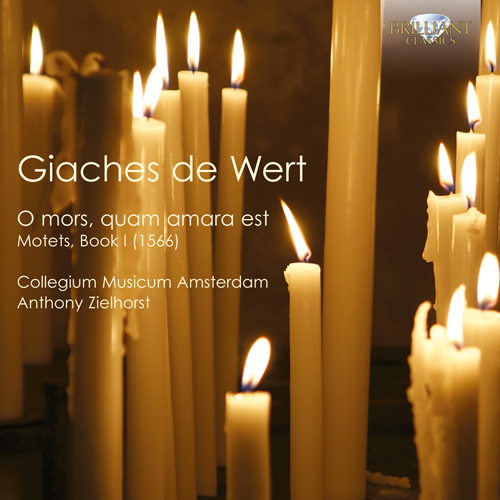 Imagen de apoyo de  WERT, G. de: Motets, Book 1 (Collegium Musicum Amsterdam, Zielhorst)