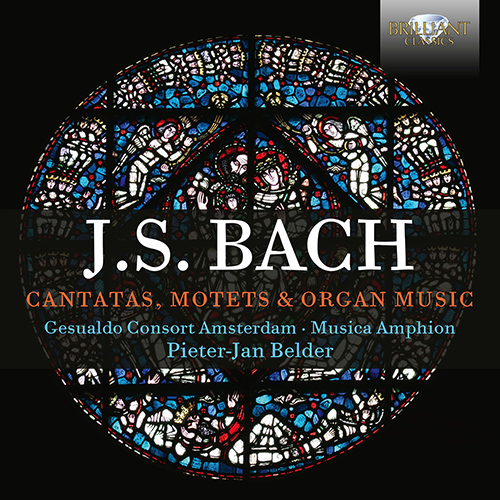Imagen de apoyo de  BACH, J.S.: Cantatas / Motets / Organ Music (Gesualdo Consort Amsterdam, Musica Amphion, Belder)
