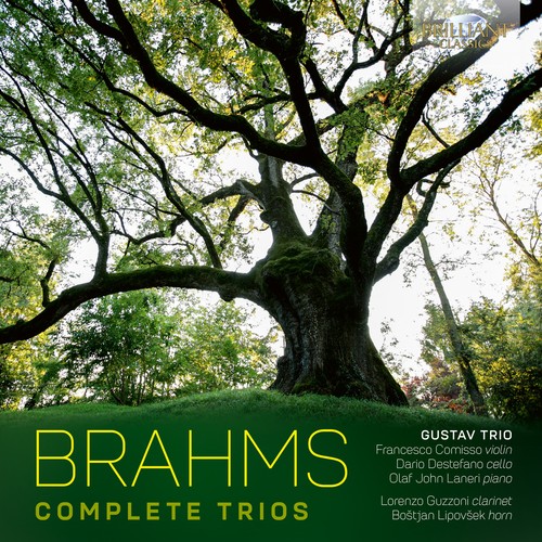 Imagen de apoyo de  BRAHMS, J.: Trios (Complete) (Gustav Trio)