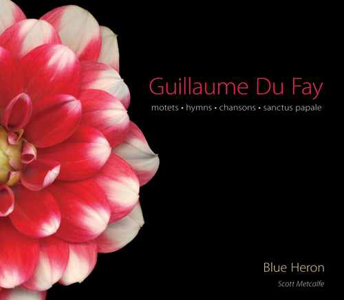 Imagen de apoyo de  DUFAY, G.: Motets (Blue Heron Renaissance Choir, Metcalfe)