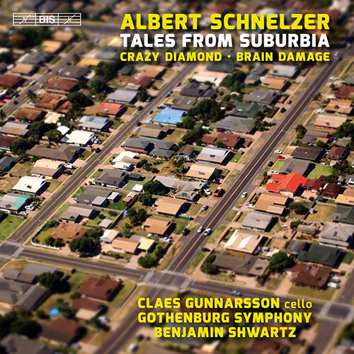 Imagen de apoyo de  SCHNELZER, A.: Tales from Suburbia / Crazy Diamond / Brain Damage (Gunnarsson, Gothenburg Symphony, Shwartz)