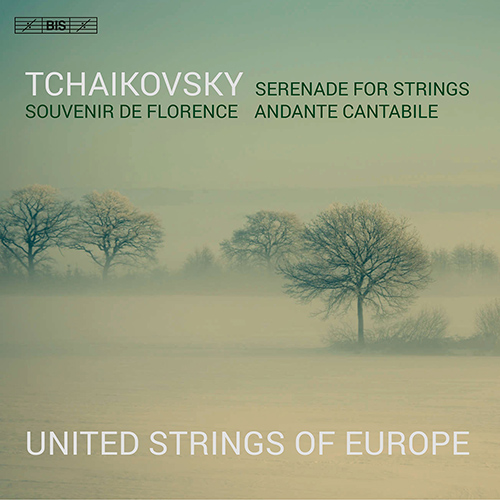 Imagen de apoyo de  TCHAIKOVSKY, P.I.: Serenade, Op. 48 / Souvenir de Florence / Andante cantabile (United Strings of Europe, Azkoul)