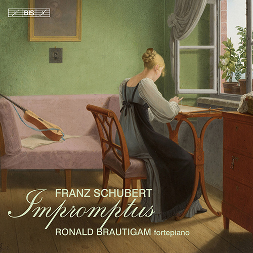 Imagen de apoyo de  SCHUBERT, F.: Impromptus, Opp. 90 and 142 (Brautigam)