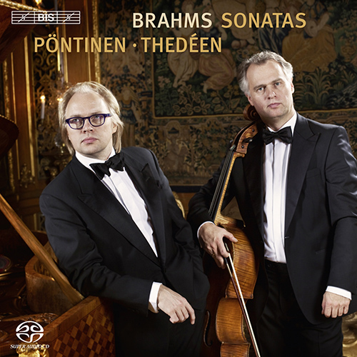 Imagen de apoyo de  BRAHMS, J.: Cello Sonatas Nos. 1 and 2 / Violin Sonata No. 1 (arr. P. Klengel for cello) (Thedeen, Pontinen)