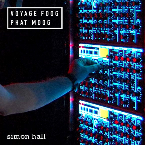 Imagen de apoyo de  HALL, S.: Voyage Foog, Phat Moog (S. Hall)