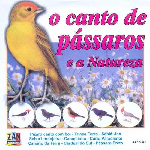 Imagen de apoyo de  CANTO DE PÁSSAROS E A NATUREZA (O)