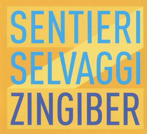 Imagen de apoyo de  Chamber Music - COGGIOLA, P. / BOCCADORO, C. / BERIO, L. / GALANTE, C. / MONTALBETTI, M. / ANTONIONI, F. (Zingiber) (Sentieri Selvaggi)