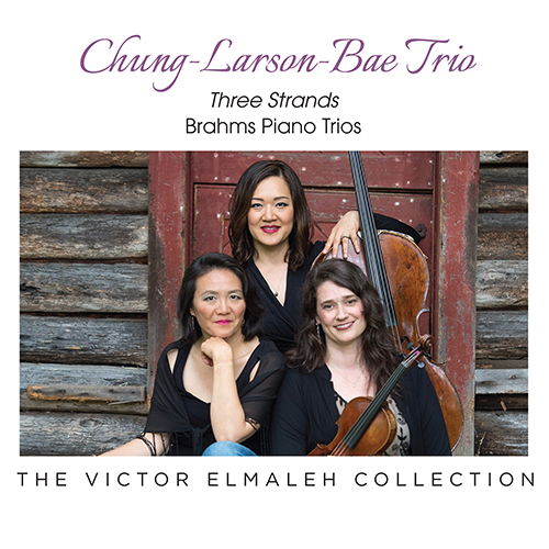 Imagen de apoyo de  BRAHMS, J.: Piano Trios Nos. 1-3 (Three Strands) (Chung-Larson-Bae Trio)