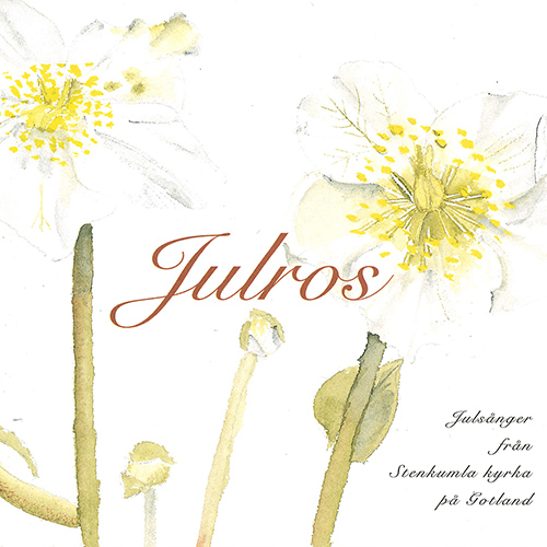 Imagen de apoyo de  Vocal Recital (Soprano): Stobaeus, Kristina - ANDERSSON, B. / FINN, K. / HALLQUIST, B.G. (Julros - Julsånger från Stenkumla kyrka på Gotland)