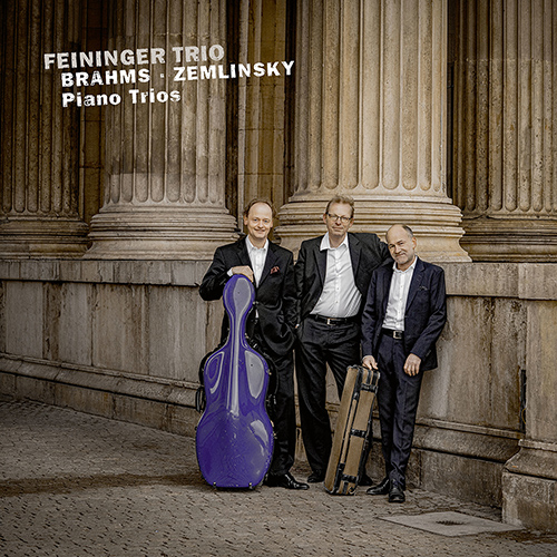 Imagen de apoyo de  BRAHMS, J.: Piano Trio No. 3 / ZEMLINSKY, A.: Piano Trio, Op. 3 (Feininger Trio)