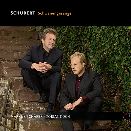 Imagen de apoyo de  SCHUBERT, F.: Schwanengesang / Der Winterabend / Die Sterne / Auf dem Strom / Herbst (Schwanengesänge) (M. Schäfer, Katte, T. Koch)