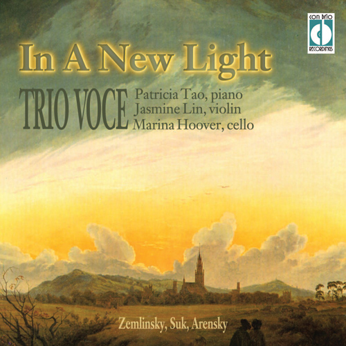 Imagen de apoyo de  Piano Trio Recital: Trio Voice - ZEMLINSKY, A. / SUK, J. / ARENSKY, A.S. (In a New Light)