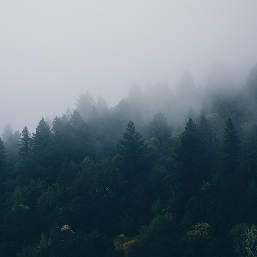 Imagen de apoyo de  KOSTAS, A.: Silent Voice (Kostas)