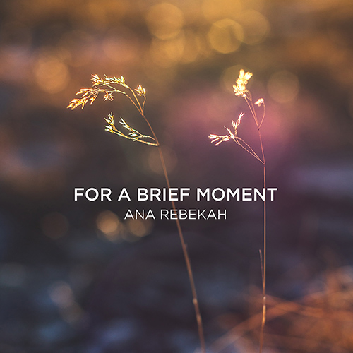 Imagen de apoyo de  REBEKAH, A.: For a Brief Moment (Rebekah)