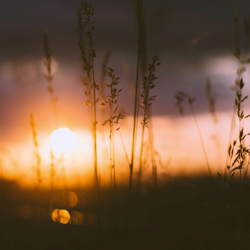 Imagen de apoyo de  ENROTH, T.: Aftonbön från Porkala (Lindqvist)