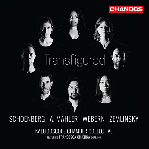 Imagen de apoyo de  Vocal and String Ensemble Music - SCHOENBERG, A. / MAHLER-WERFEL, A.M. / WEBERN, A. / ZEMLINSKY, A. (Transfigured) (Kaleidoscope Chamber Collective)