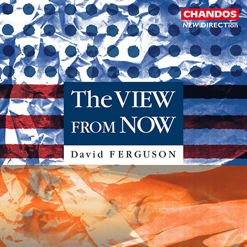 Imagen de apoyo de  FERGUSON, David: View from Now (The)