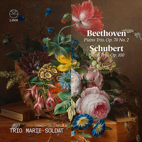 Imagen de apoyo de  BEETHOVEN, L. van: Piano Trio No. 6 / SCHUBERT, F.: Piano Trio No. 2 (Trio Marie Soldat)