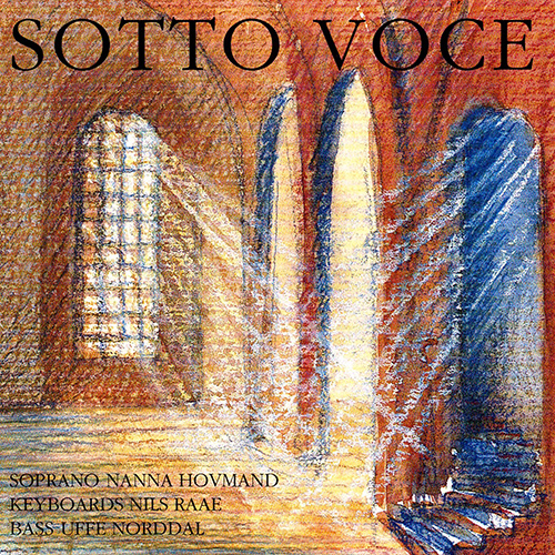 Imagen de apoyo de  Chamber Music (Scandinavian) - RAAE, N. / HOJGAARD, H.J. (Sotto Voce)