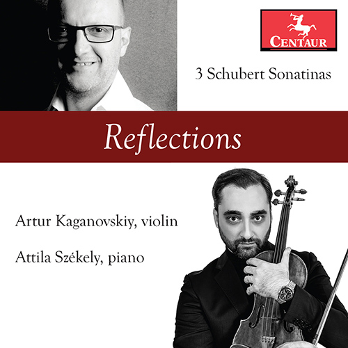 Imagen de apoyo de  SCHUBERT, F.: Violin Sonatas (Sonatinas), D. 384, 385, 408 (Reflections) (Kaganovskiy, Székely)