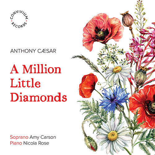 Imagen de apoyo de  CEASER, A.: Million Little Diamonds (A) (Carson, Rose)