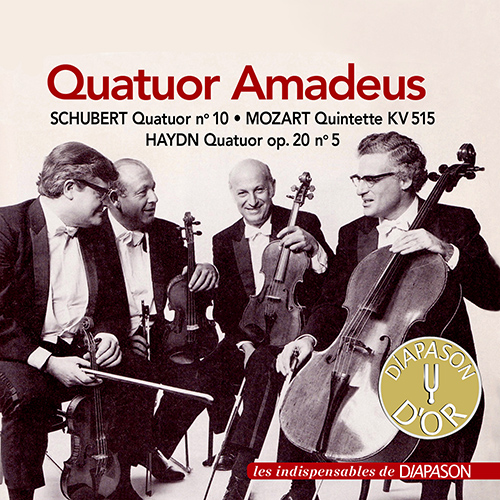 Imagen de apoyo de  Chamber Music (Strings) - SCHUBERT, F. / MOZART, W.A. / HAYDN, J. (Amadeus Quartet) (1951-1955)