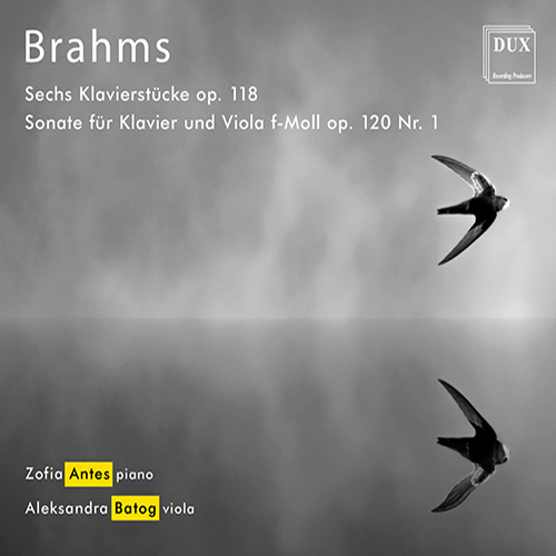 Imagen de apoyo de  BRAHMS, J.: 6 Piano Pieces / Viola Sonata No. 1 (Batog, Antes)
