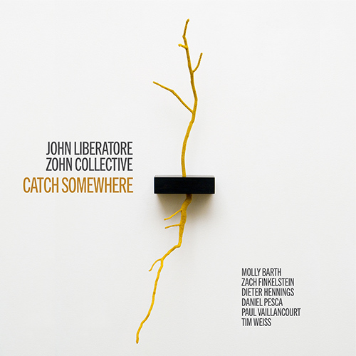 Imagen de apoyo de  LIBERATORE, J.: Catch Somewhere / A Very Star-Like Start / Gilded Tree / Hold Back Thy Hours (Zohn Collective)