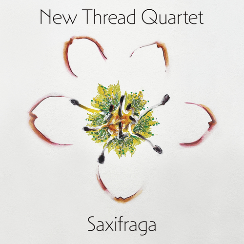 Imagen de apoyo de  CHEAH, V.: Walk for a shell / KIRSTEN, A.B.: avalanche lily / WOLLSCHLEGER, S.: Without World (Saxifraga) (New Thread Quartet)