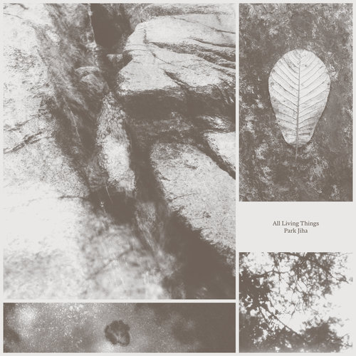 Imagen de apoyo de  JIHA, Park: All Living Things