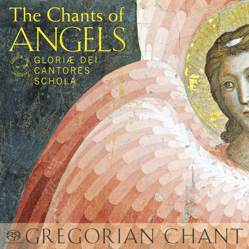 Imagen de apoyo de  CHANTS OF ANGELS (THE)